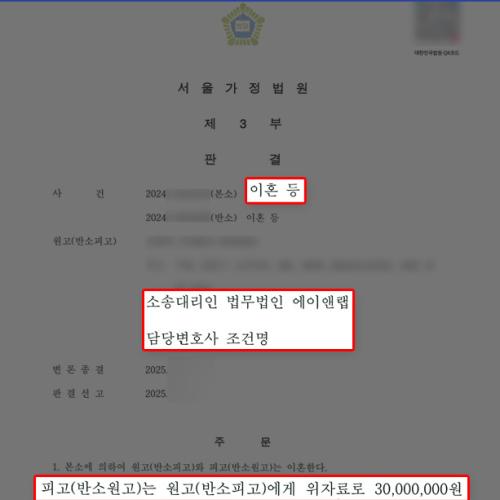 [재산분할] 유책배우자 상대로 위자료 3,000만 원 청구 및 과도한 재산분할 방어해